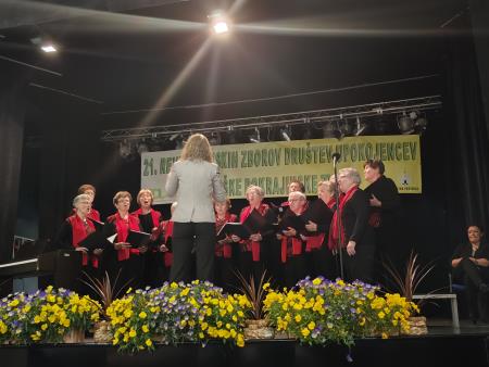 Aktivnosti v DU Ravne (3)